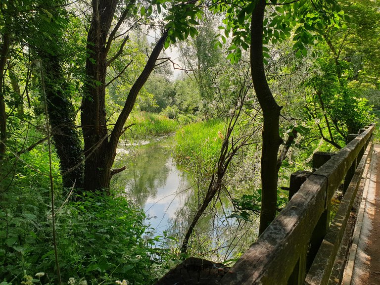 20230603_100212.jpg