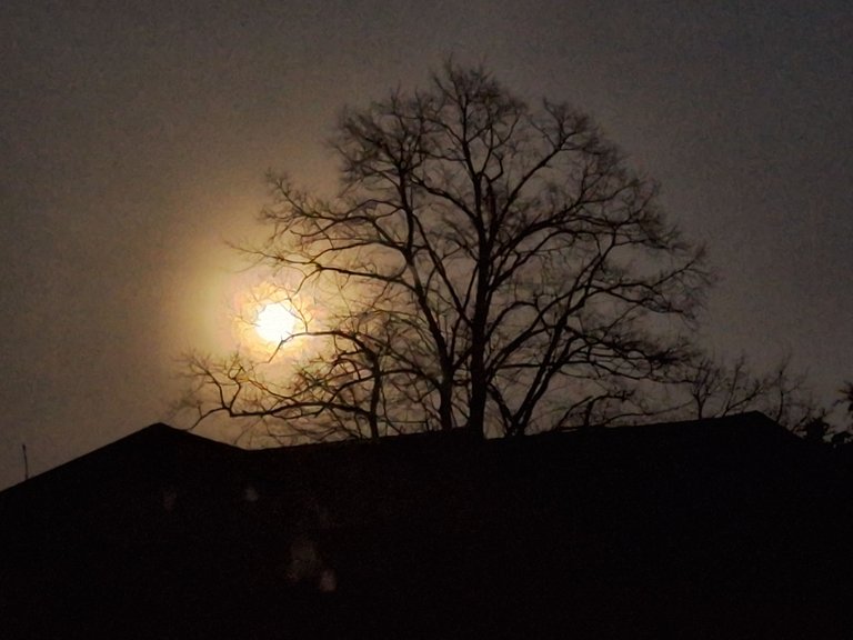 20231226_165556.jpg