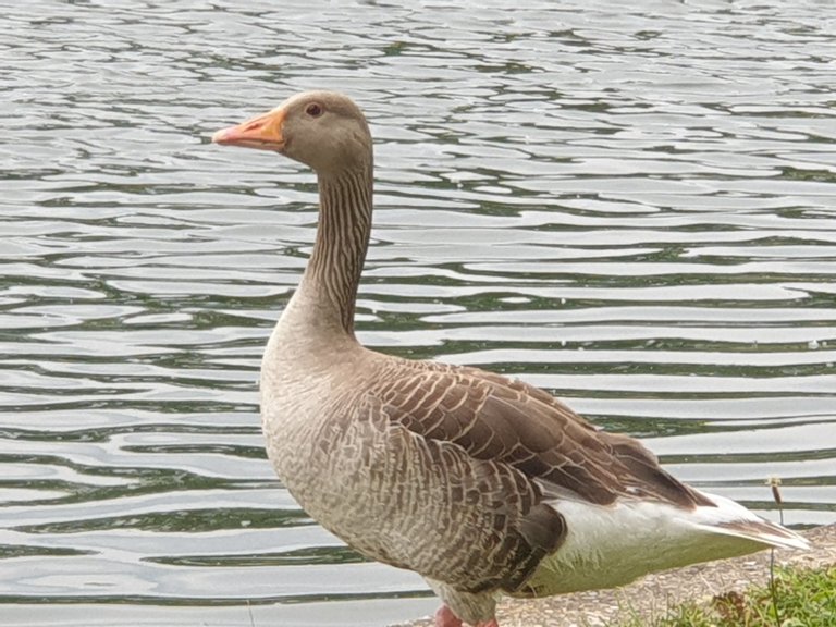 20230618_142323.jpg