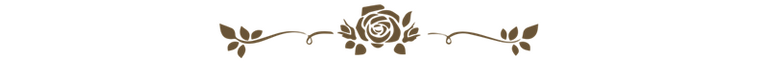 rosa sepia oscuro.png