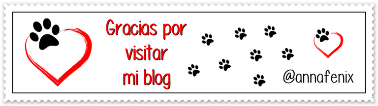 banner perritos.png