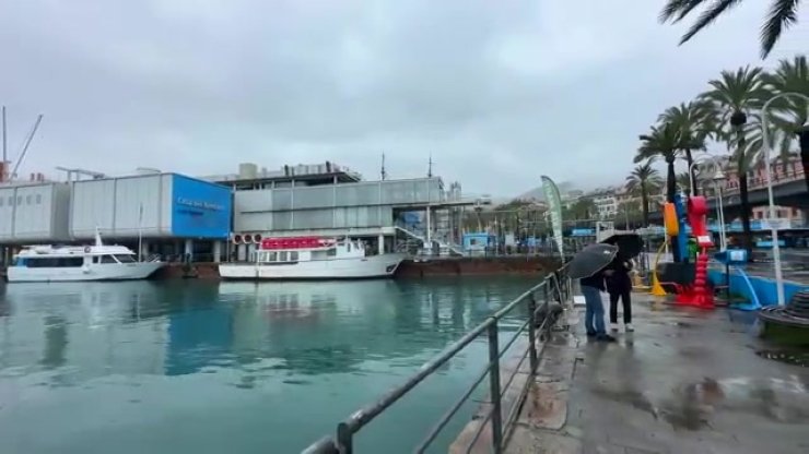 511.jpg