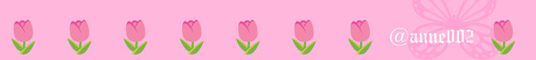 @anne002_20250723_195546_0000 (1).png