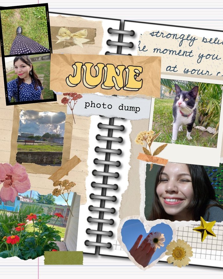 Picsart_25-07-23_17-33-57-136.jpg