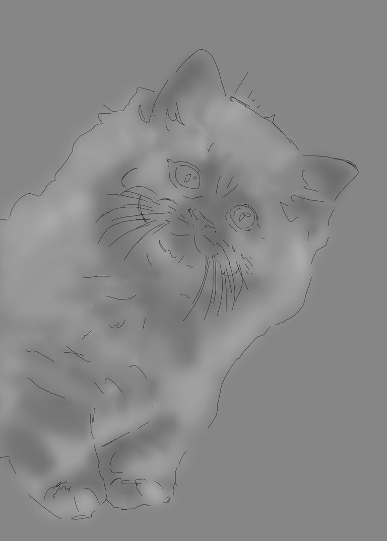 Katze_03wip03.jpg