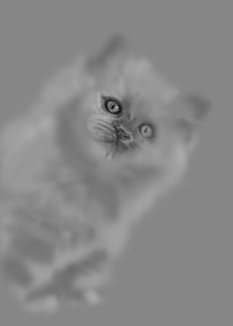 Katze_03wip06.jpg