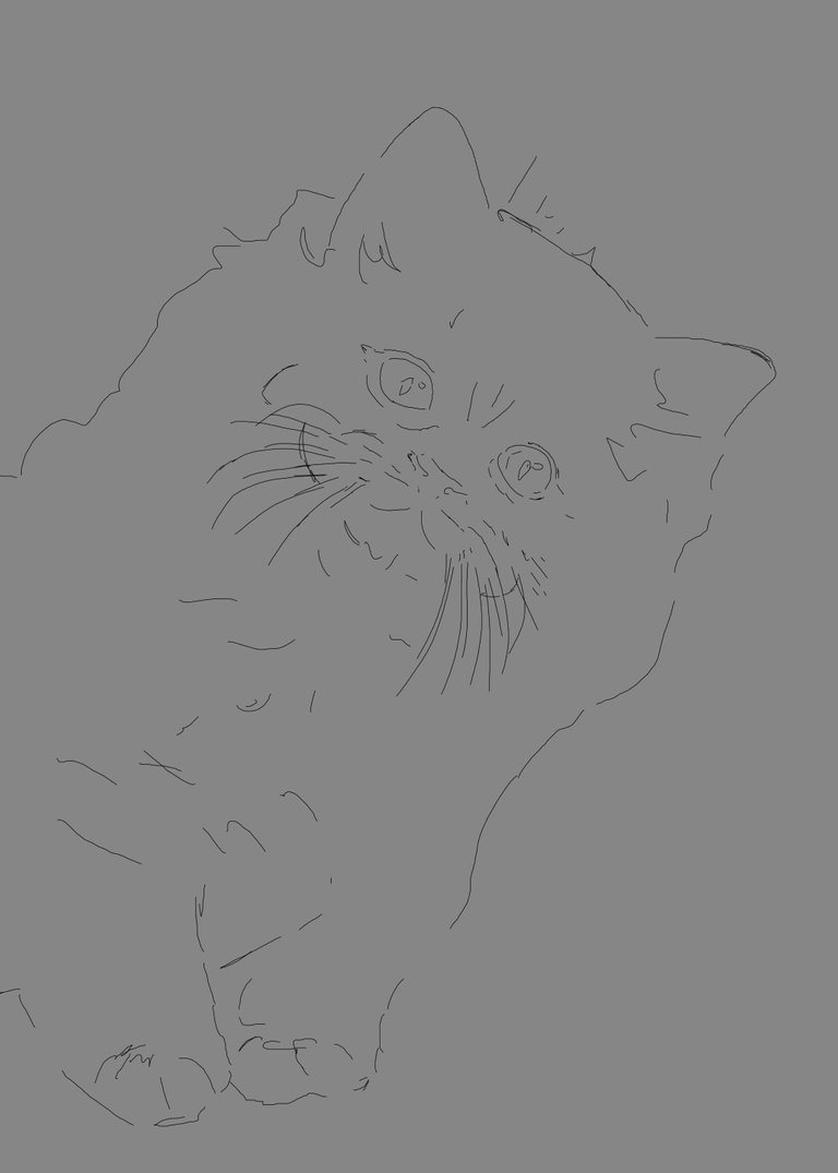 Katze_03wip01.jpg