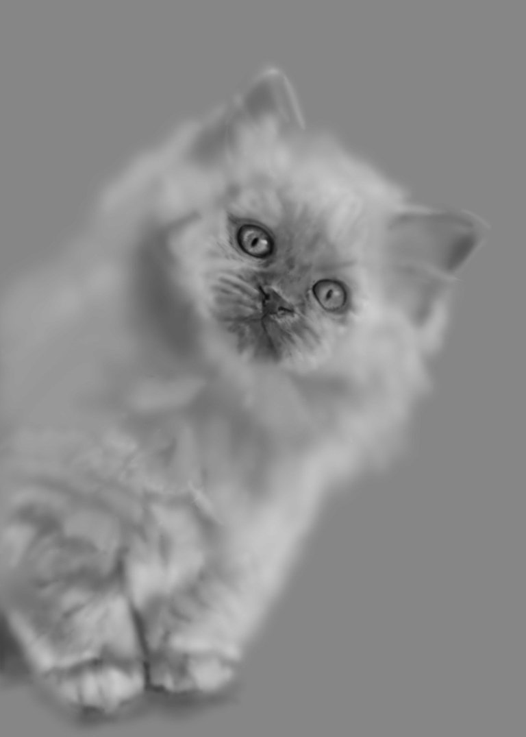 Katze_03wip10.jpg