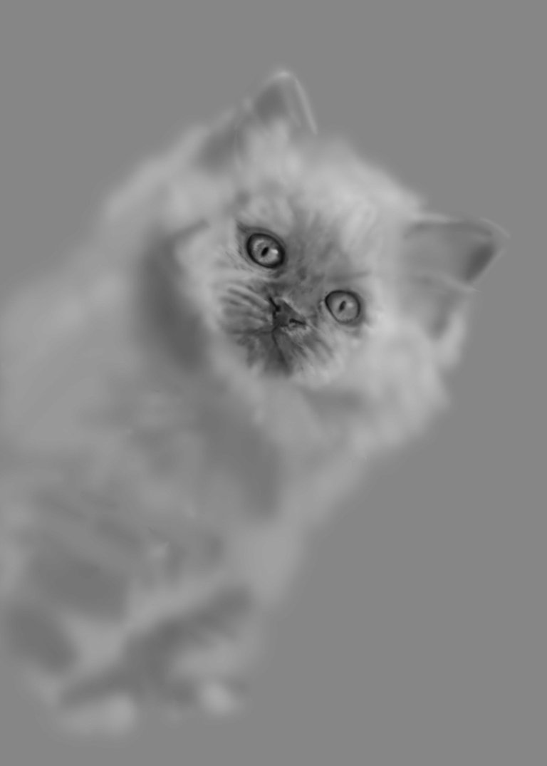 Katze_03wip08.jpg