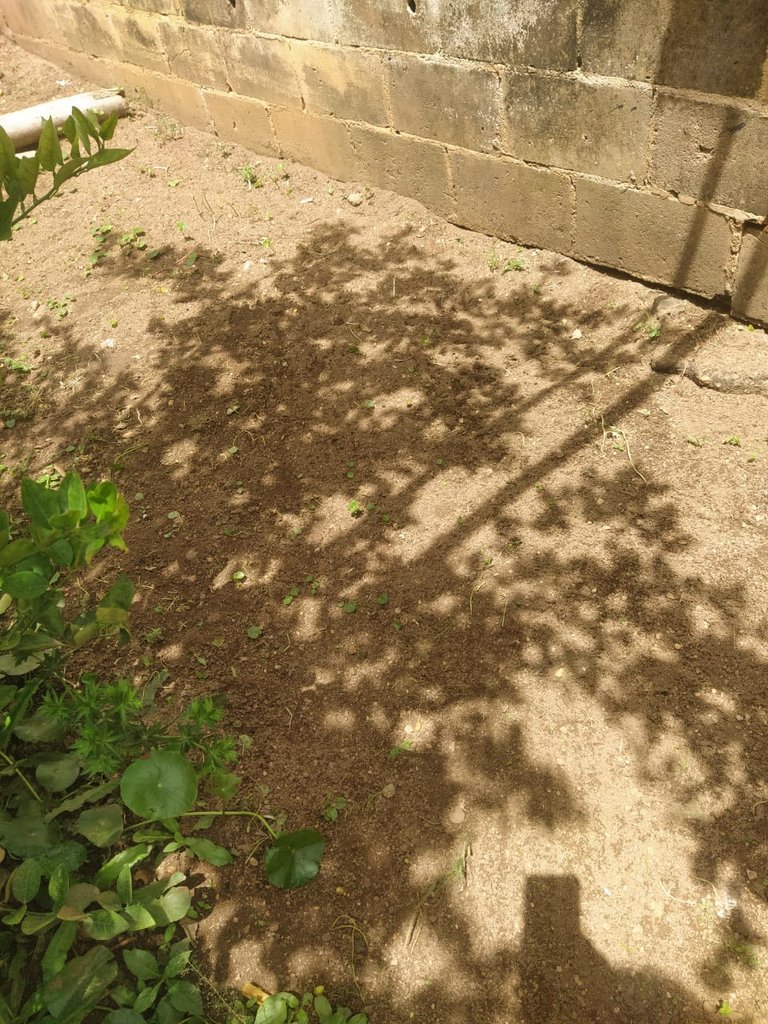17515722831277293864203039628032.jpg