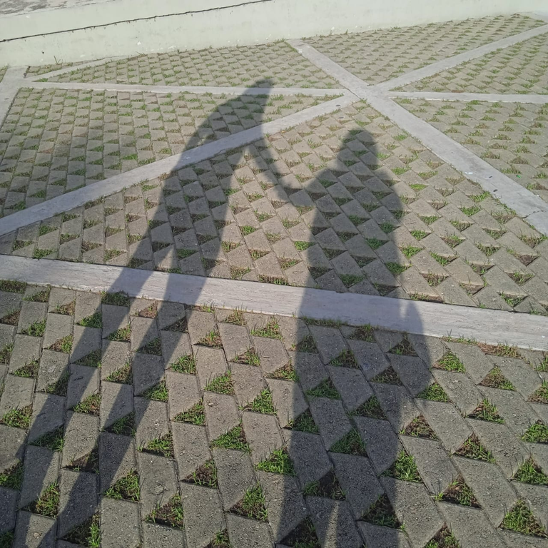 17509782233282440769323580412724.png