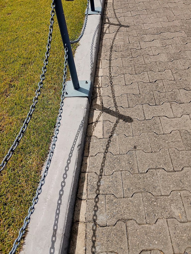 17509775413535151251837782417881.jpg