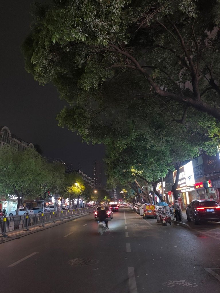 IMG20250404201344.jpg
