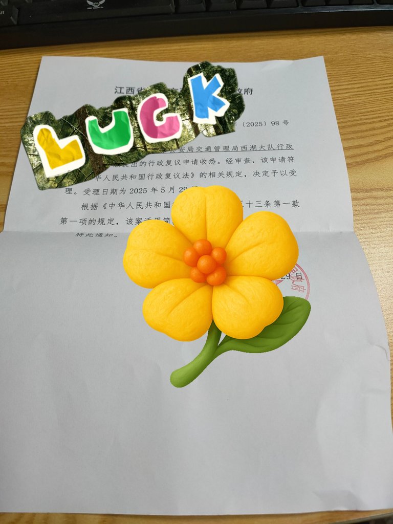 MEITU_20250629_181009708.jpg
