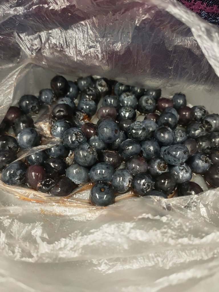 IMG20250616094940.jpg