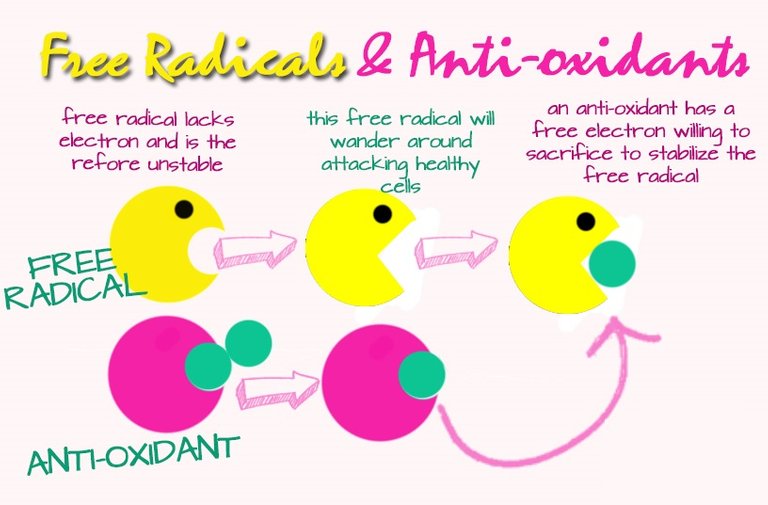 free radicals & antioxidants.jpg