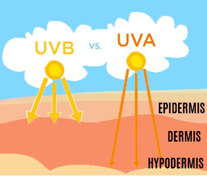 UVa and Uvb penetration.jpg