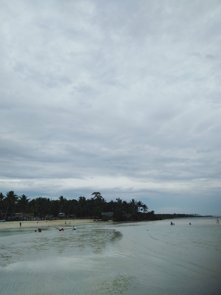 IMG20230729132051.jpg