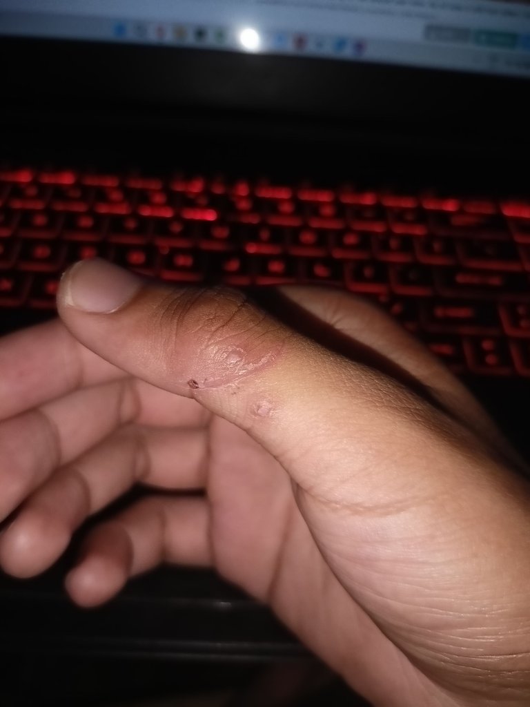16th day.jpg