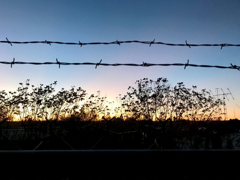 barbed wire.jpeg