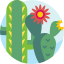 cactus (1).png