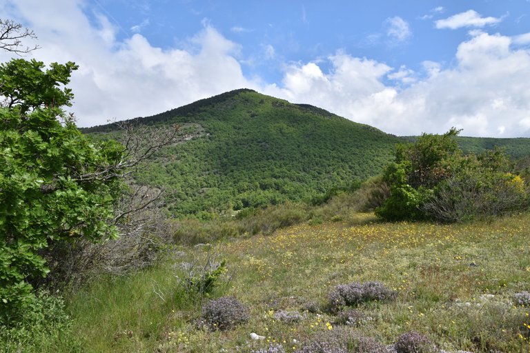 DSC_1660.JPG