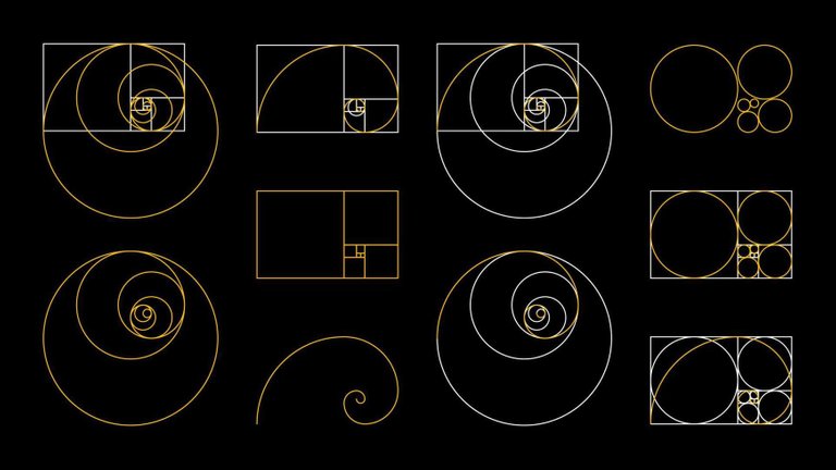 golden-ratio-fibonacci-set-a-spiral-for-harmony-composition-logos-and-designs-correct-proportions-vector.jpeg