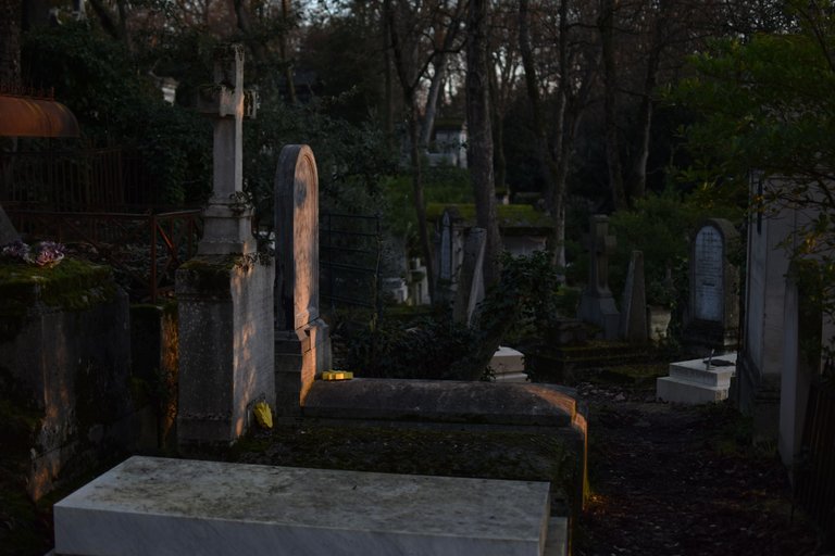 DSC_0050.JPG