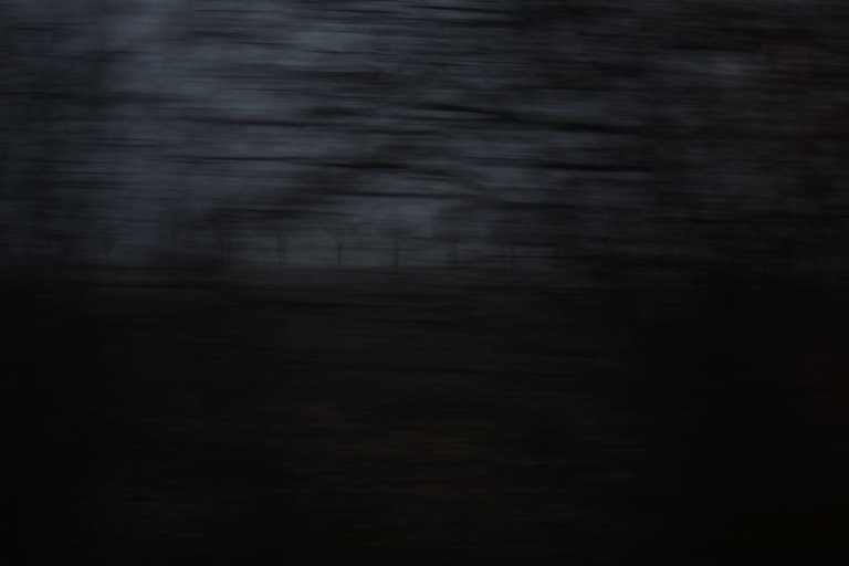DSC_0402.JPG
