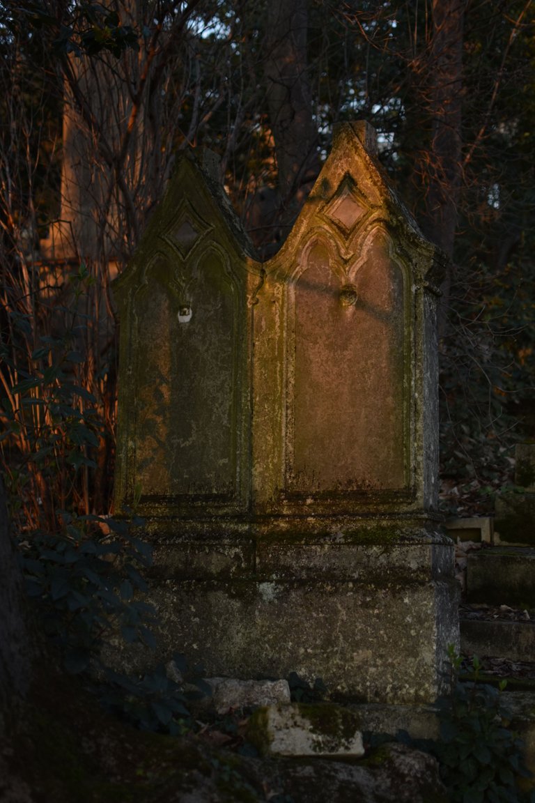 DSC_0076.JPG