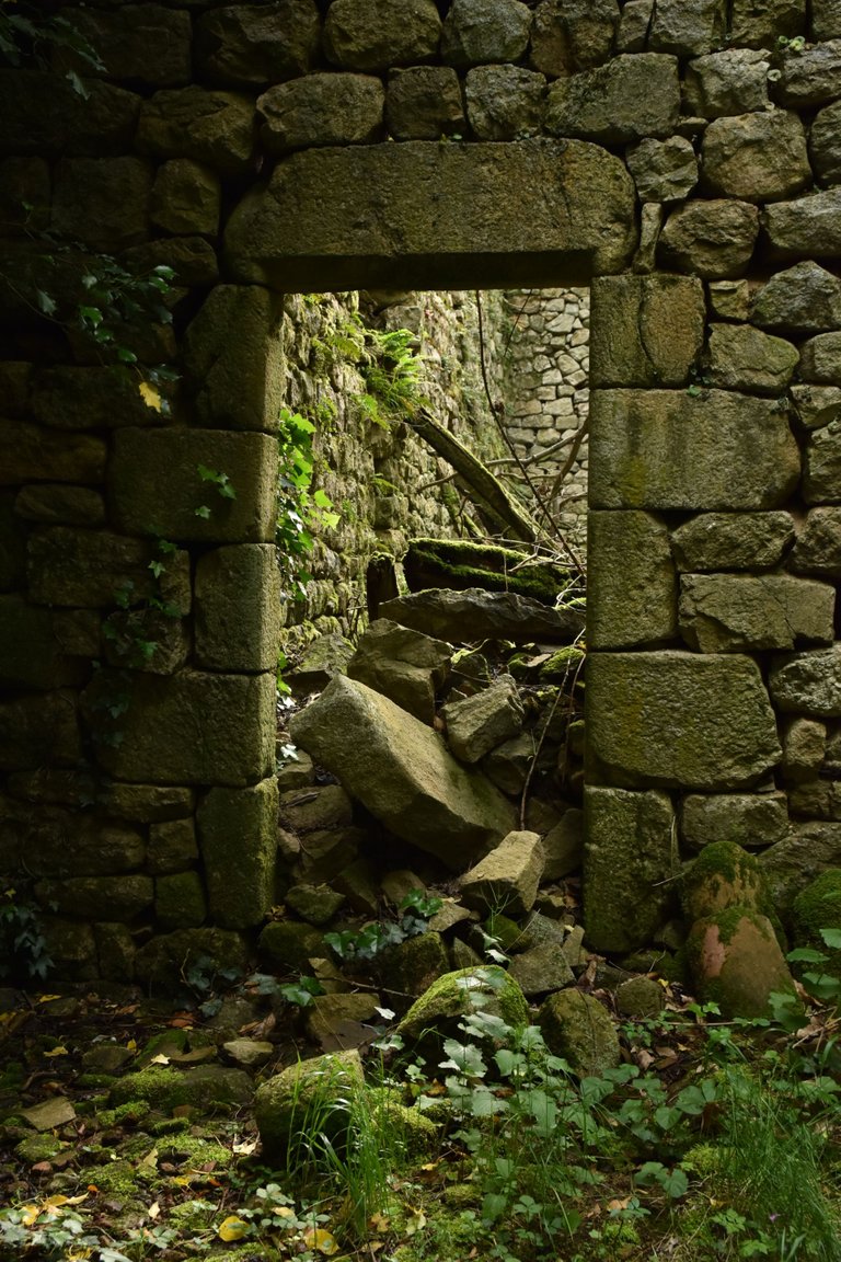DSC_2824.JPG