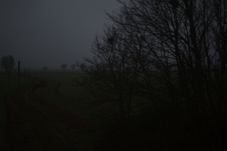 DSC_0409.JPG