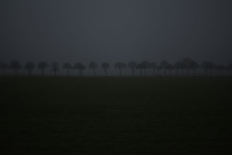 DSC_0406.JPG
