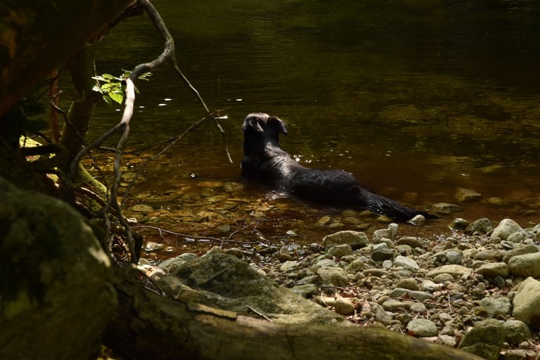 DSC_2589.JPG
