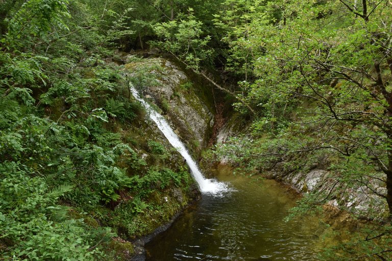 DSC_2705.JPG
