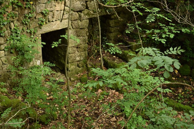 DSC_2818.JPG