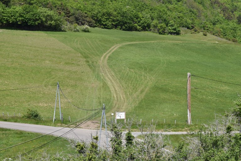 DSC_1673.JPG
