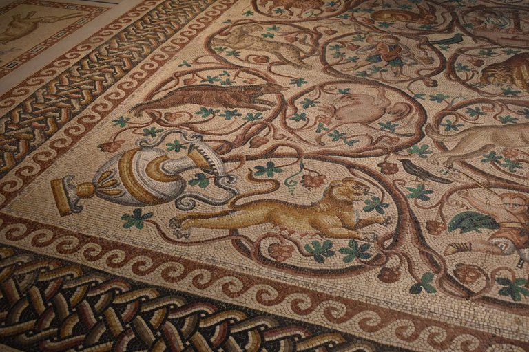 DSC_0493.JPG