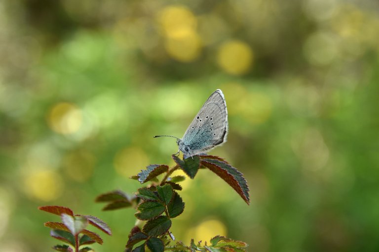 DSC_1891.JPG