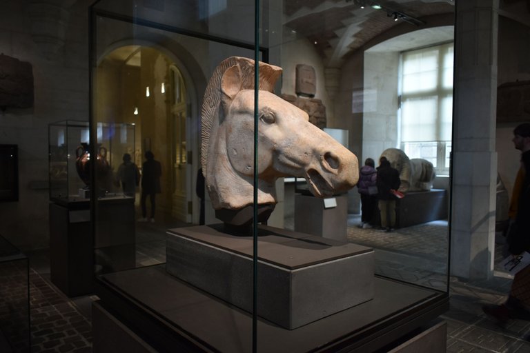 DSC_0418.JPG