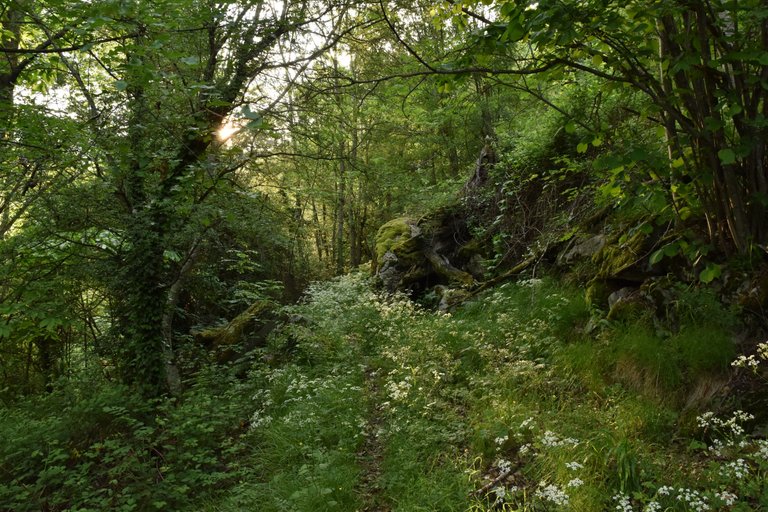 DSC_0023.JPG