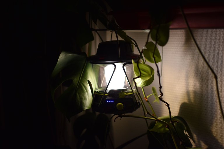 DSC_0046.JPG