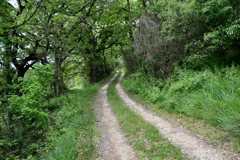 DSC_1561.JPG