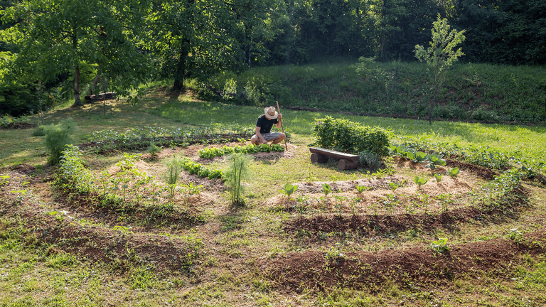 que-planter-sur-une-butte-de-permaculture.png