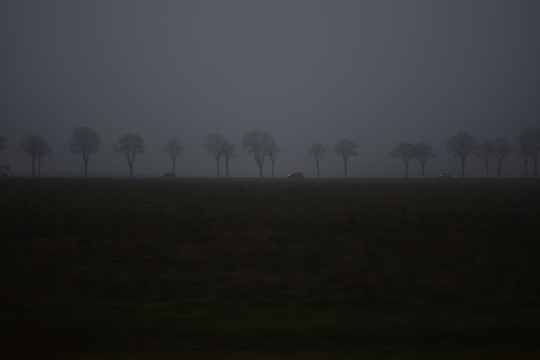 DSC_0397.JPG