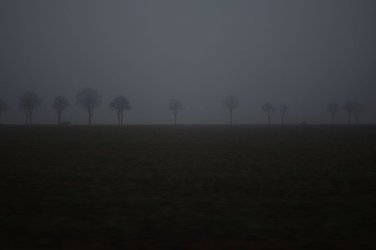 DSC_0399.JPG