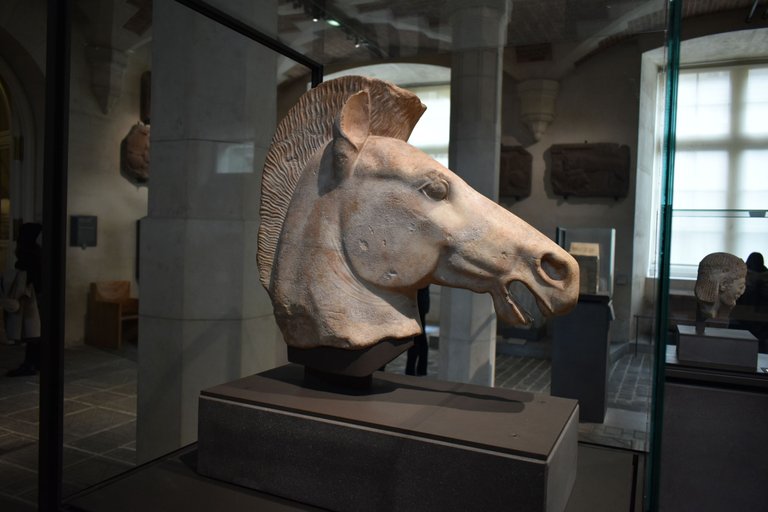 DSC_0419.JPG