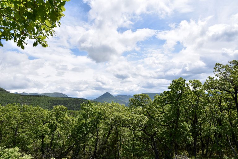 DSC_1771.JPG