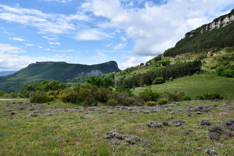 DSC_1655.JPG