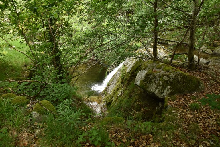 DSC_2762.JPG